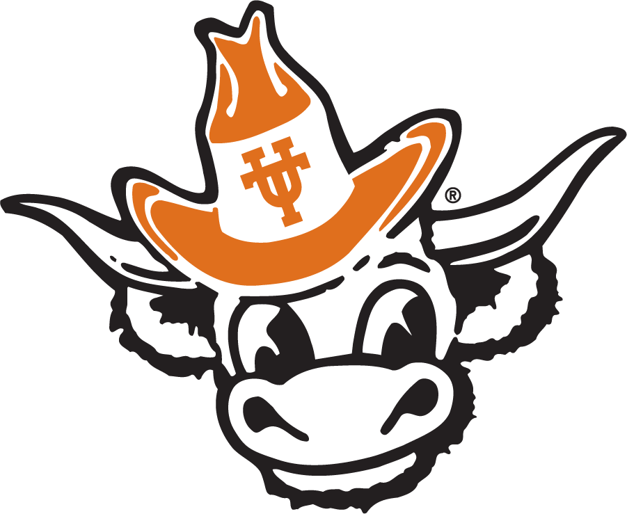 Texas Longhorns 1981-2011 Secondary Logo DIY iron on transfer (heat transfer)